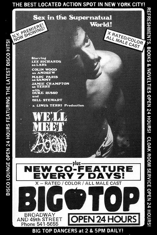 We'll Meet Again (1978) poster