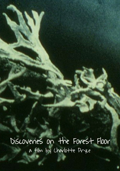 Discoveries on the Forest Floor 1-3 (2006) poster