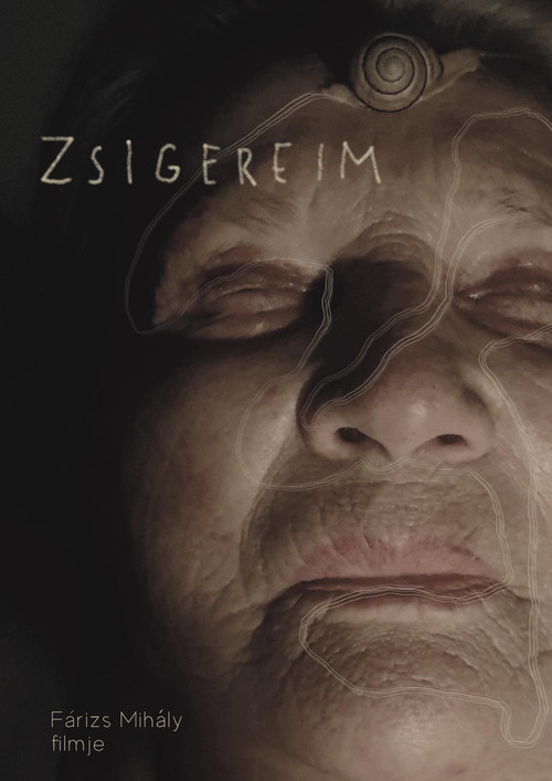 Zsigereim (2024) poster