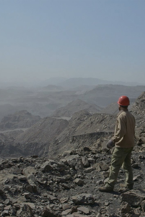 Naturales Historiae (2019) poster