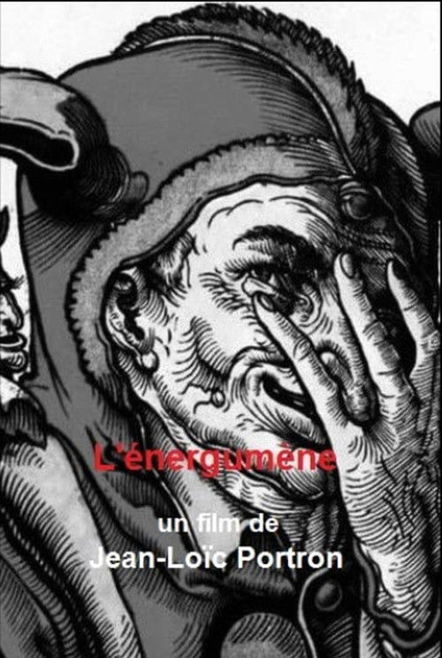 L'Énergumène (2011) poster