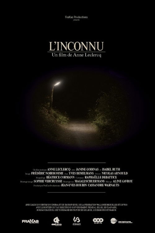 L'inconnu (2014) poster