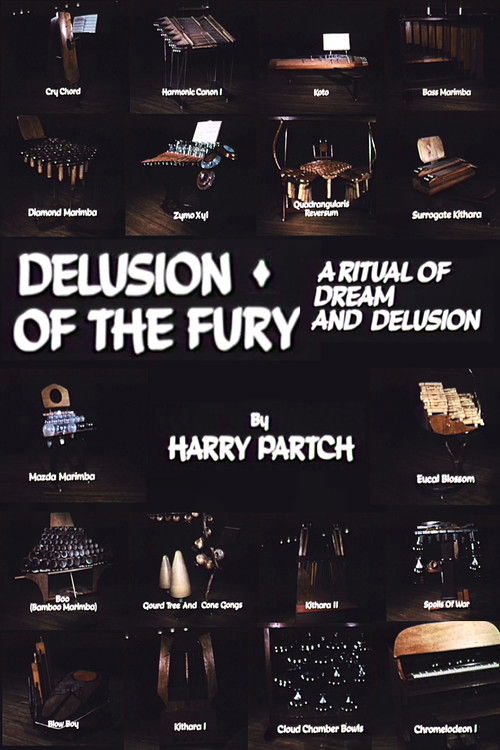 Delusion of the Fury: A Ritual of Dream and Delusion (1971) poster
