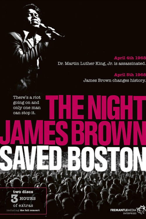 James Brown - The Night James Brown Saved Boston (2008) poster