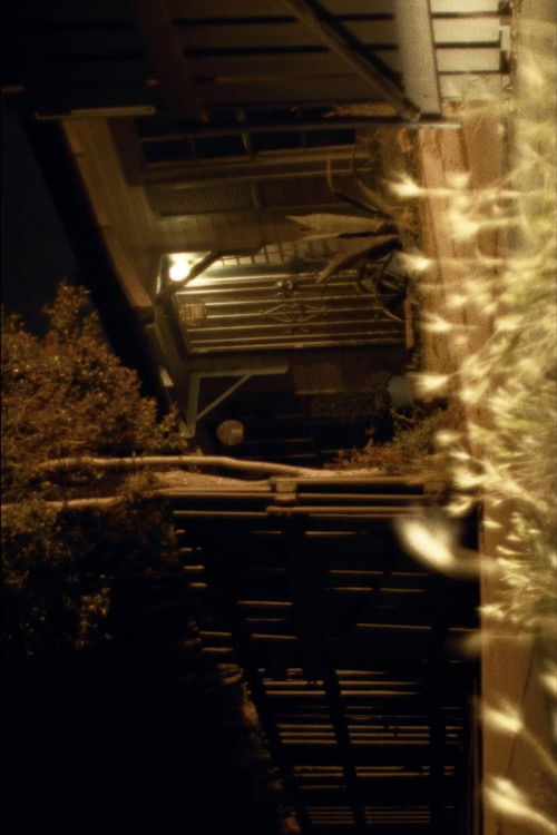 Passenger (2023) poster