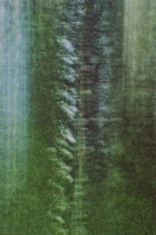 Rue De La Montagne (2012) poster