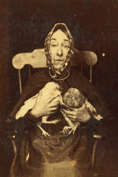 Why the Long Face (1997) poster