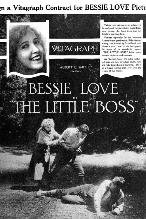 The Little Boss (1919) poster