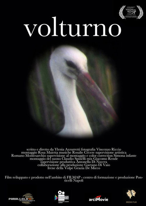 Volturno poster