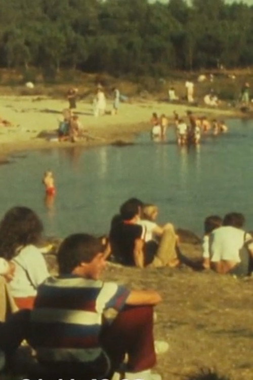 The lake (1979) poster