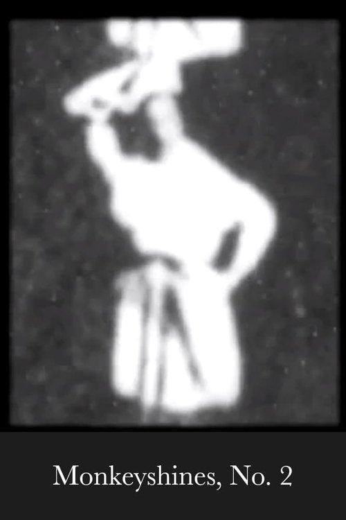 Monkeyshines, No. 2 (1890) poster