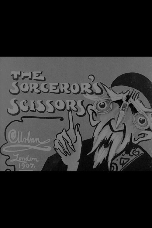 The Sorceror's Scissors (1907) poster