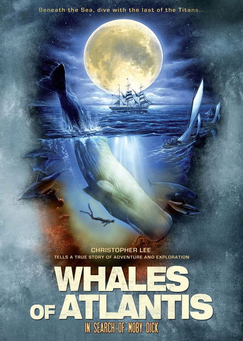 Les baleines de l'Atlantide (2003) poster