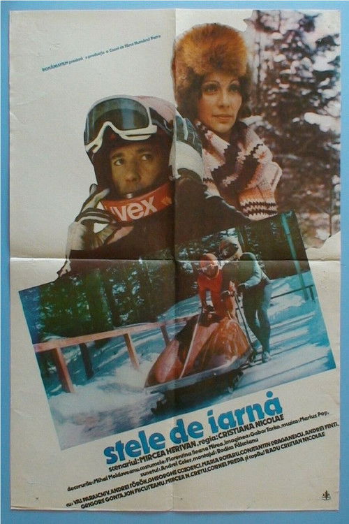 Stele de iarnă (1980) poster