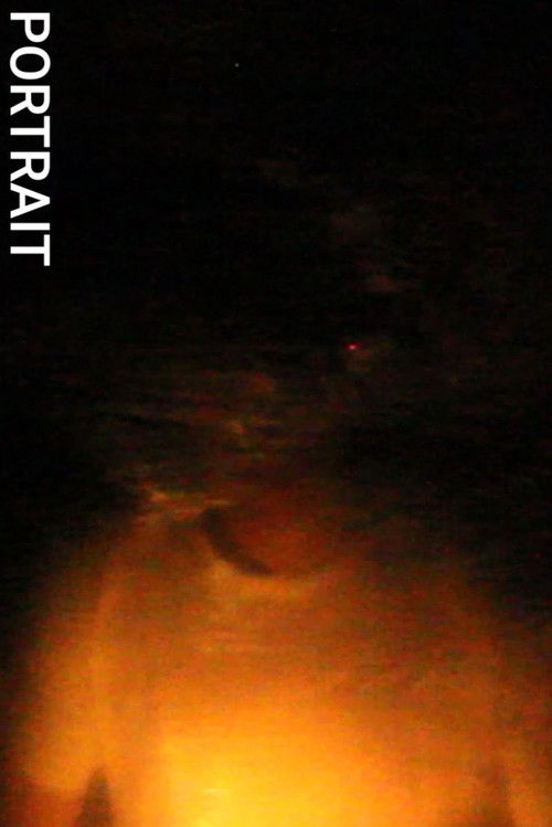 Portrait (2025) poster