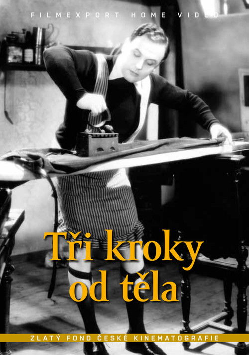 Tři kroky od těla (1934) poster