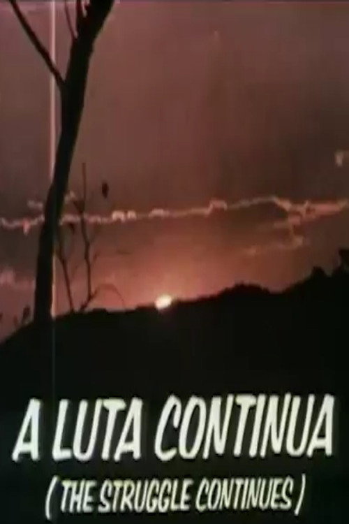 The Struggle Continues (1971) poster