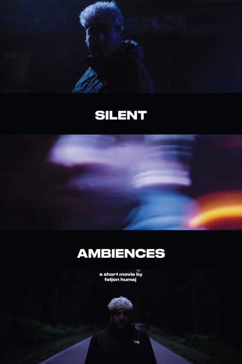 Silent Ambiences (2024) poster