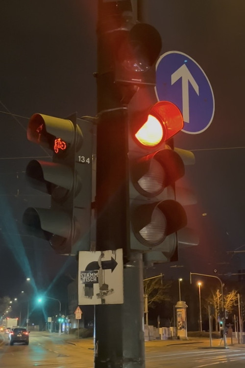 Insaneshitter - A Documentary (2025) poster