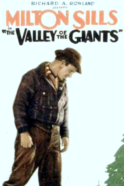 The Valley of the Giants (1927) poster