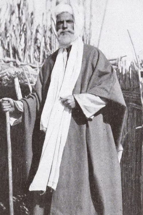 Dust of the Desert (1912) poster