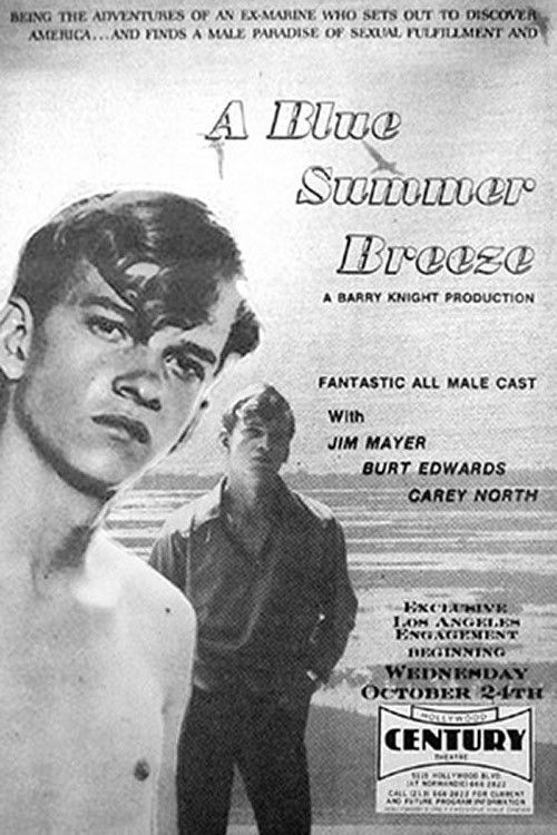 Blue Summer Breeze (1972) poster