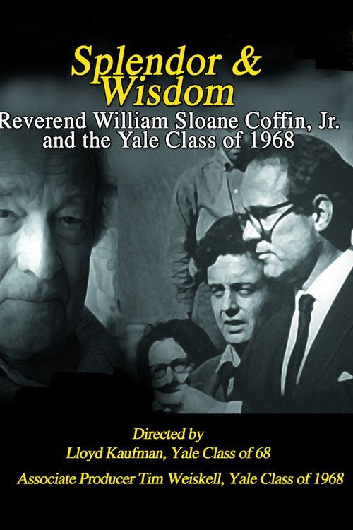 Splendor and Wisdom (2008) poster