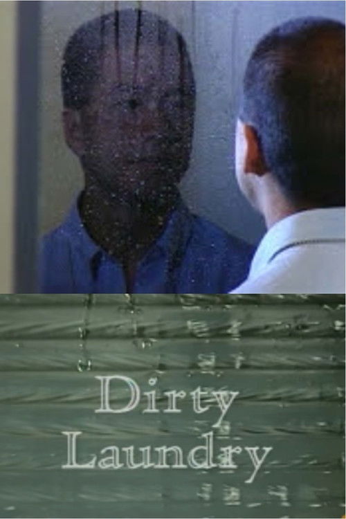 Dirty Laundry (1996) poster