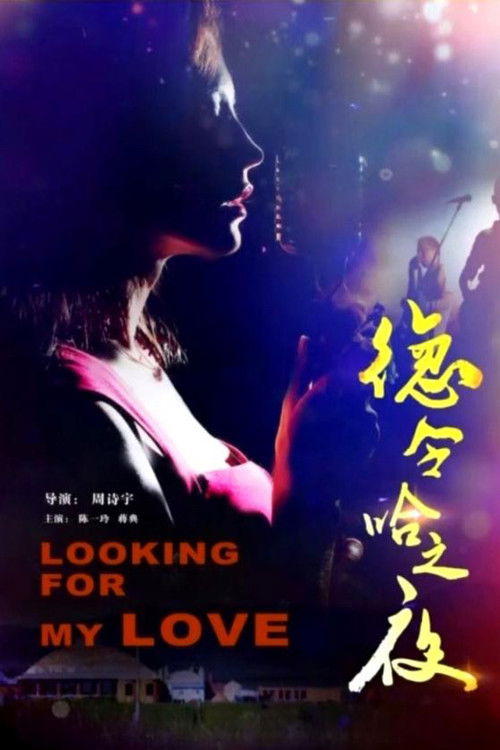 Delhi Night (2015) poster