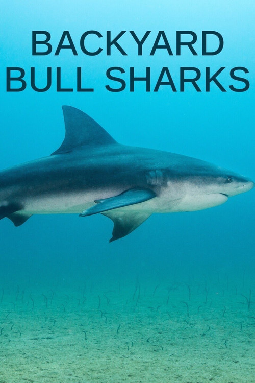 Backyard Bull Sharks (2022) poster