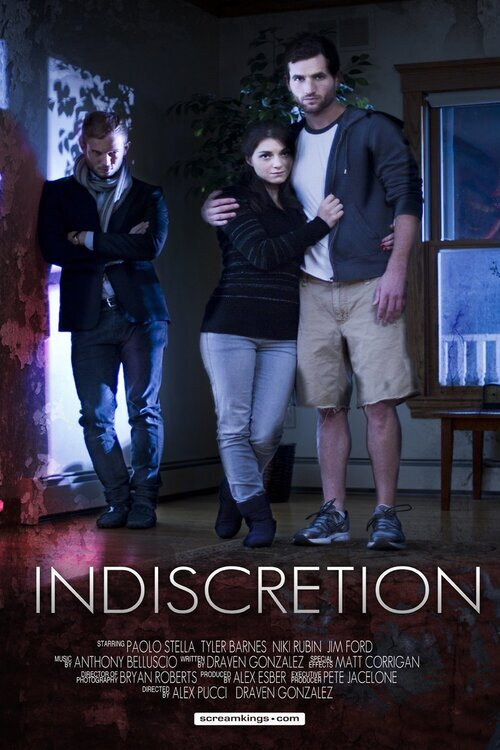 Indiscretion (2013) poster