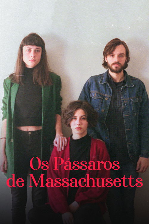 Os Pássaros de Massachusetts (2019) poster