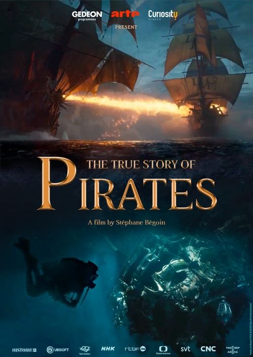La Véritable histoire des pirates (2022) poster