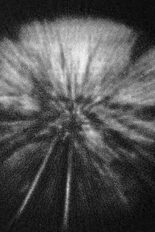 Yamanote Lightblast (2006) poster