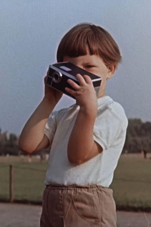 Sommer, Sonne, AK 8 (1956) poster