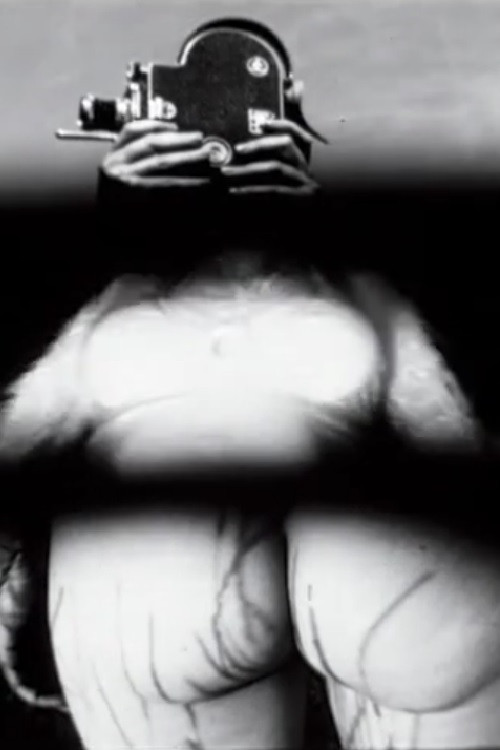 Film-Landscape-People: an Exquisite Corpse (2008) poster