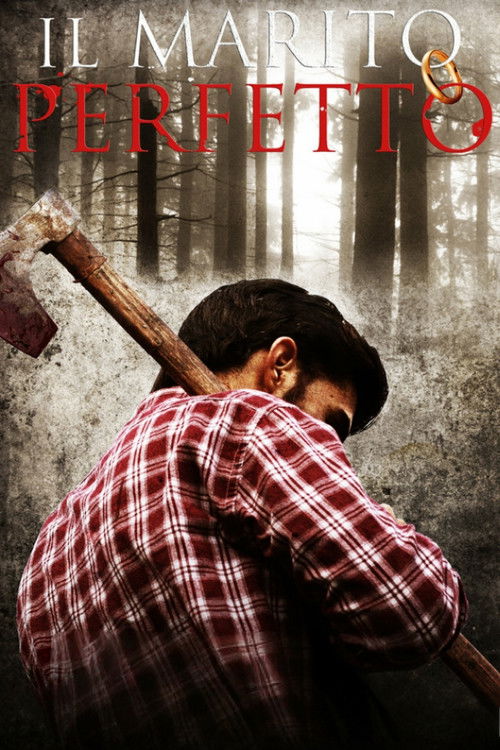 The Perfect Marriage (2011) poster