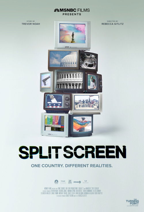 Split Screen (2022) poster