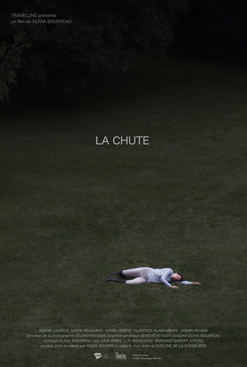 La chute (2017) poster