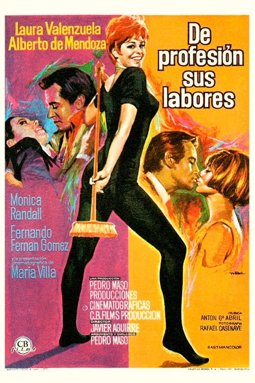 De profesión, sus labores (1970) poster