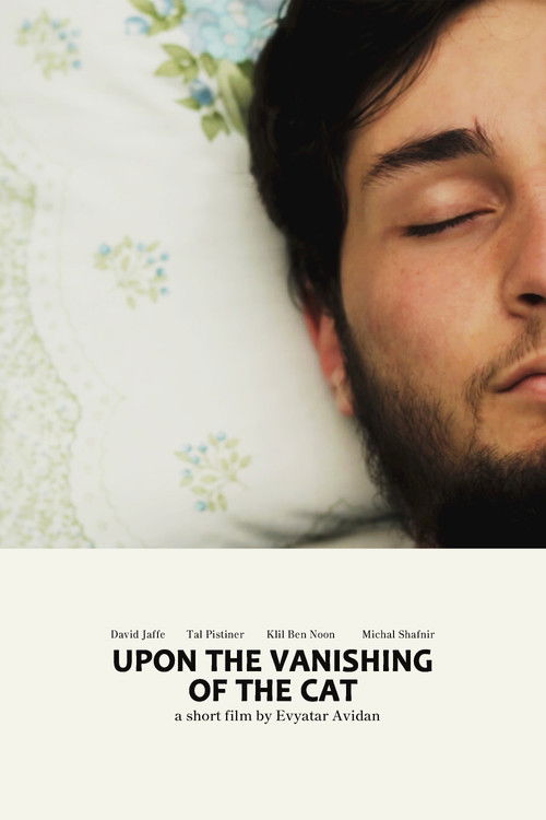 Upon the Vanishing of the Cat poster