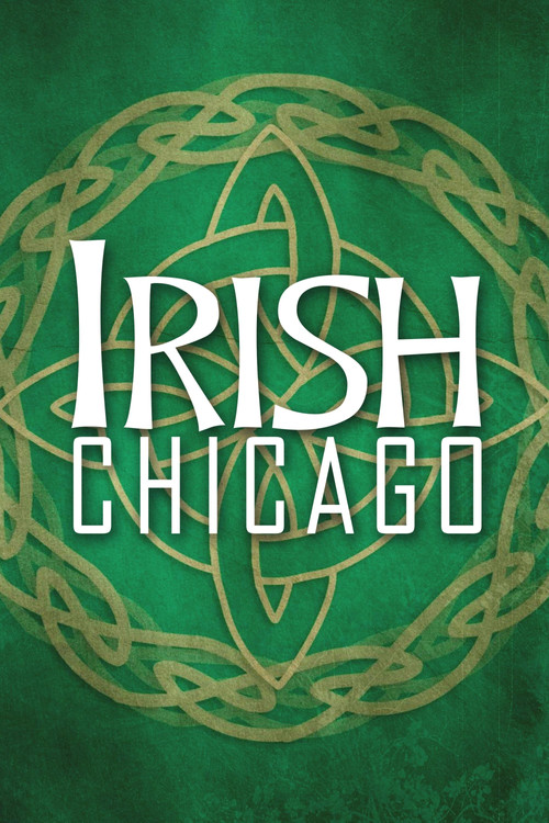 Irish Chicago (2009) poster