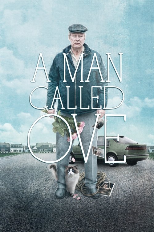 Ove Adındaki Bir Adam (2015) poster