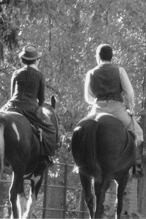 In the Eye Abides the Heart (2006) poster