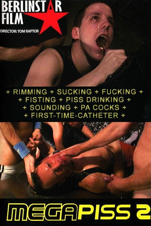 Mega Piss 2 (2010) poster