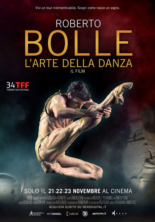 Roberto Bolle:  The Art of the Dance (2017) poster