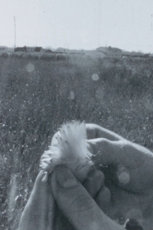 Homage #5 (1970) poster