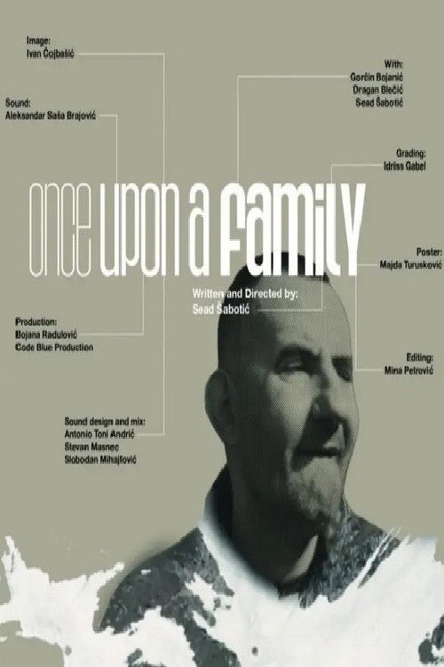 Once Upon a Family (2024) poster