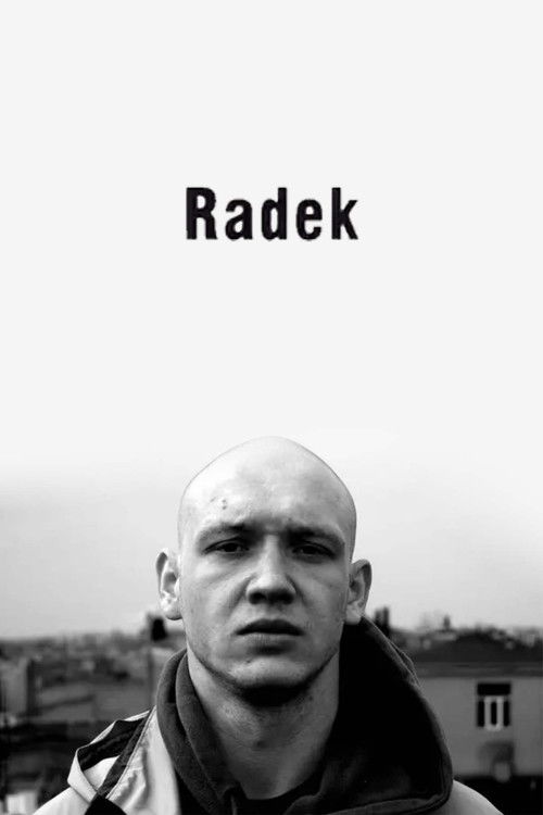 Radek (2007) poster