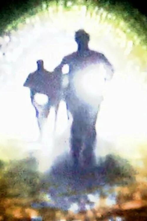 Beyond (2024) poster